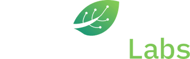 CodeMintLabs Logo